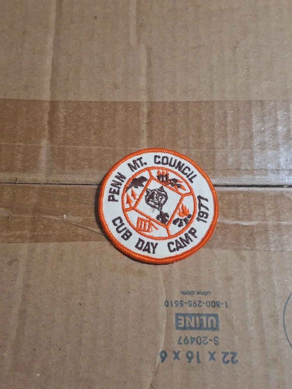 penn mt councel cub day camp 1977 patch